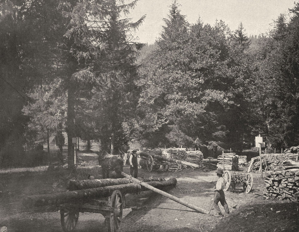VOSGES. Bûcherons au col de la Schlucht 1906 old antique vintage print picture